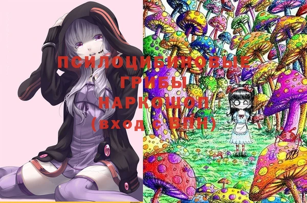 spice Алзамай