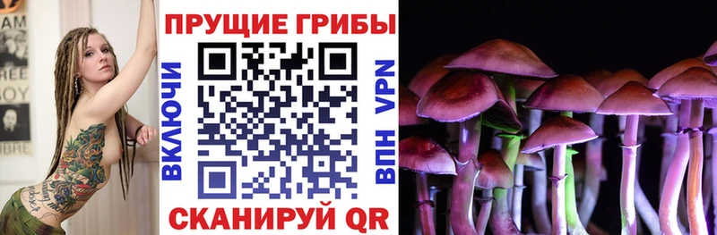Псилоцибиновые грибы Psilocybe  закладка  Пермь 