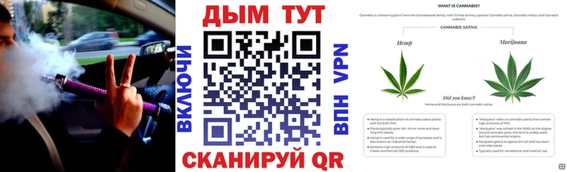 Бошки Шишки SATIVA & INDICA Пермь